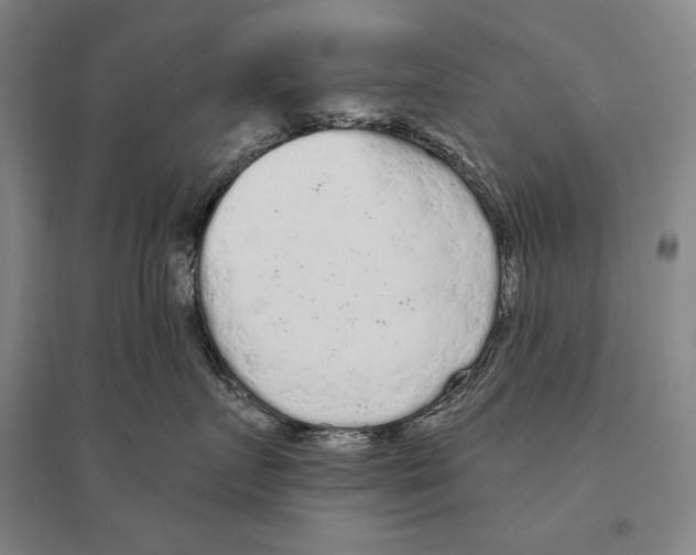 X0000095510719200801111413
