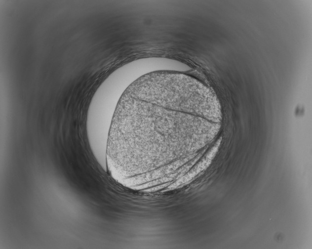 X0000095510720200801111413