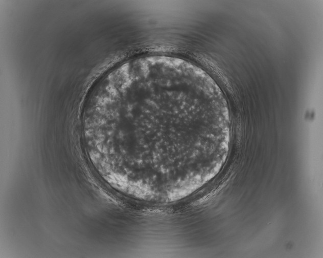 X0000095510721200801111412