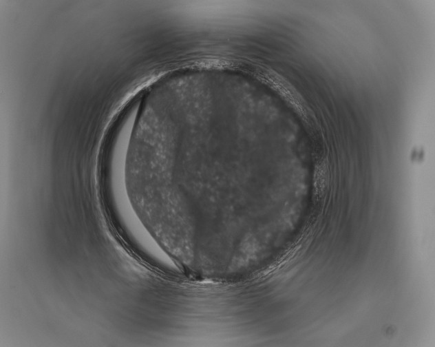 X0000095510722200801111412