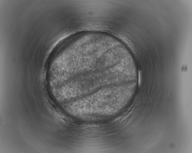 X0000095510723200801111412