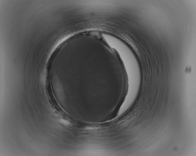 X0000095510724200801111412