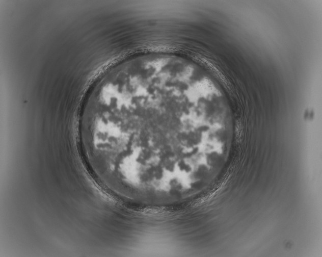 X0000095510725200801111412