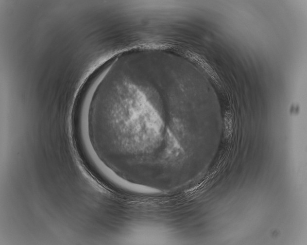 X0000095510726200801111412