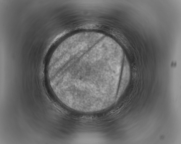 X0000095510727200801111412