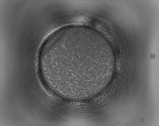 X0000095510728200801111412