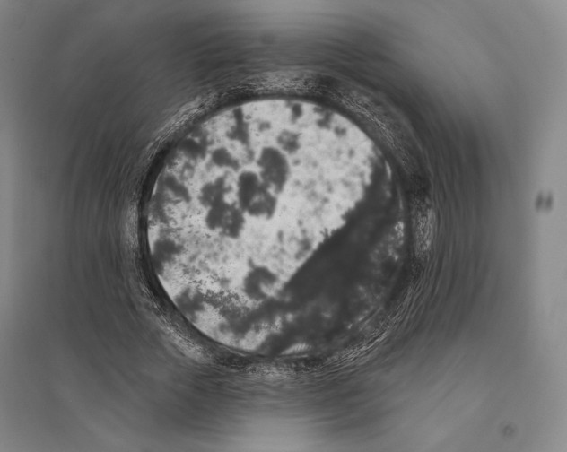 X0000095510729200801111412
