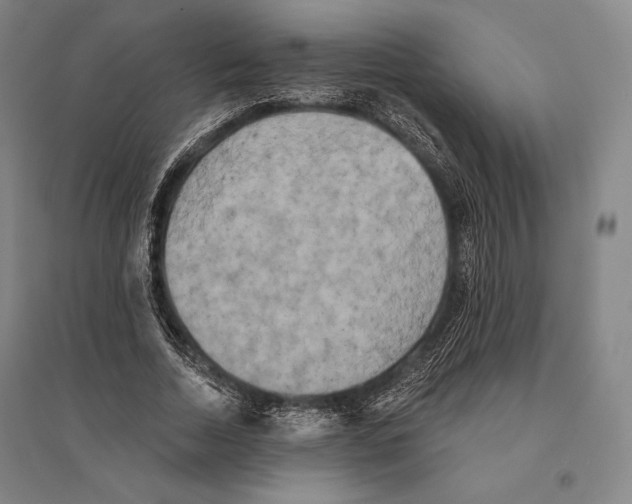 X0000095510730200801111412