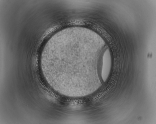 X0000095510731200801111412