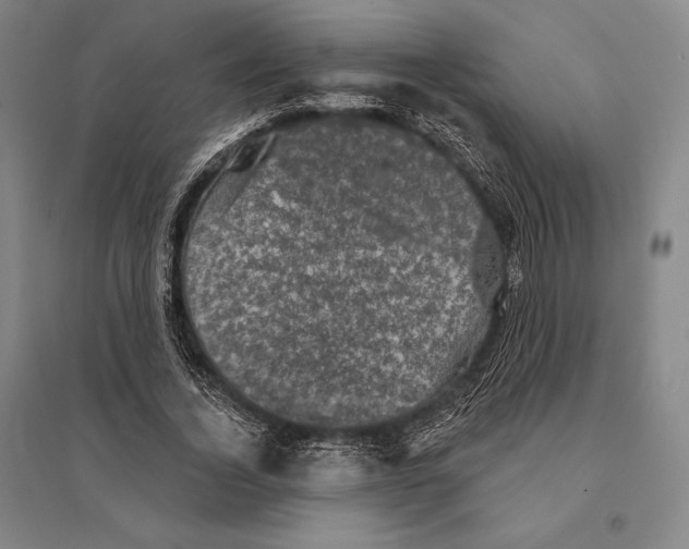 X0000095510732200801111412