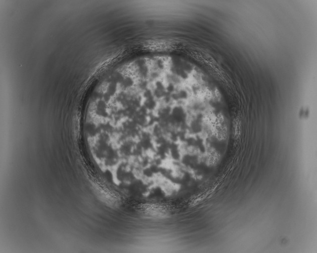 X0000095510733200801111412