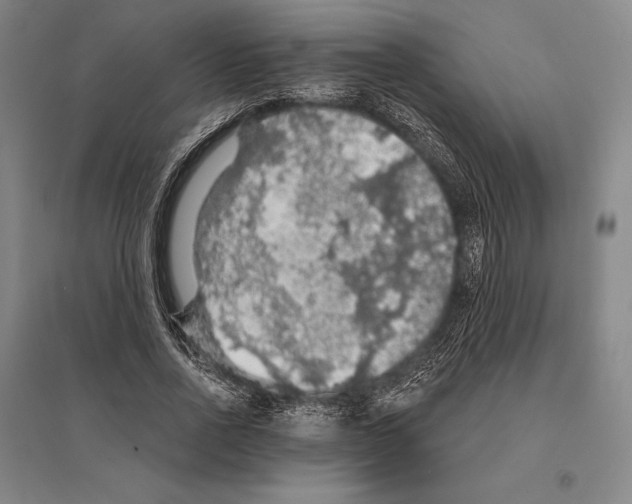 X0000095510734200801111412