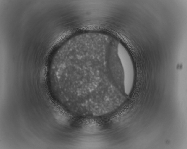 X0000095510735200801111412