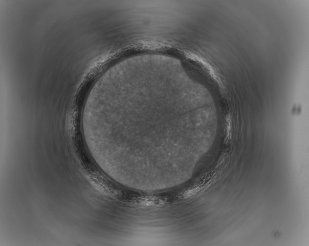 X0000095510736200801111412