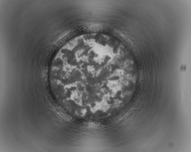 X0000095510737200801111412