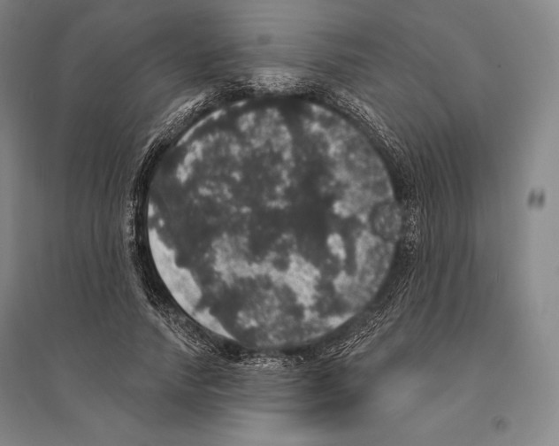 X0000095510738200801111412