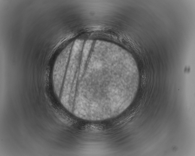 X0000095510739200801111412