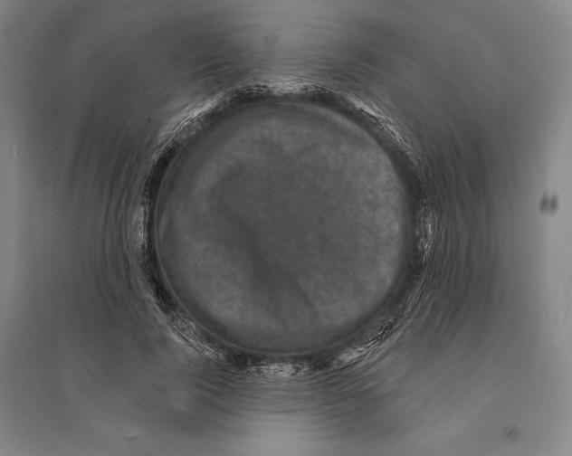 X0000095510740200801111412