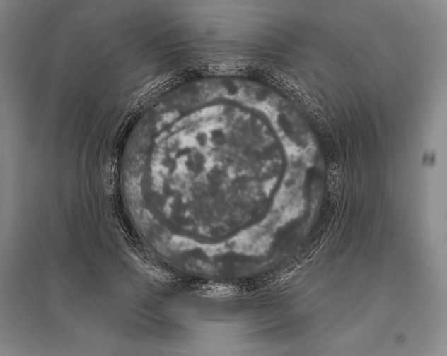 X0000095510741200801111412
