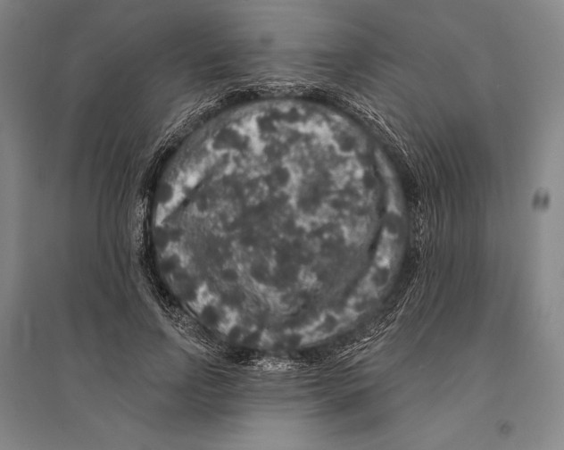 X0000095510742200801111412