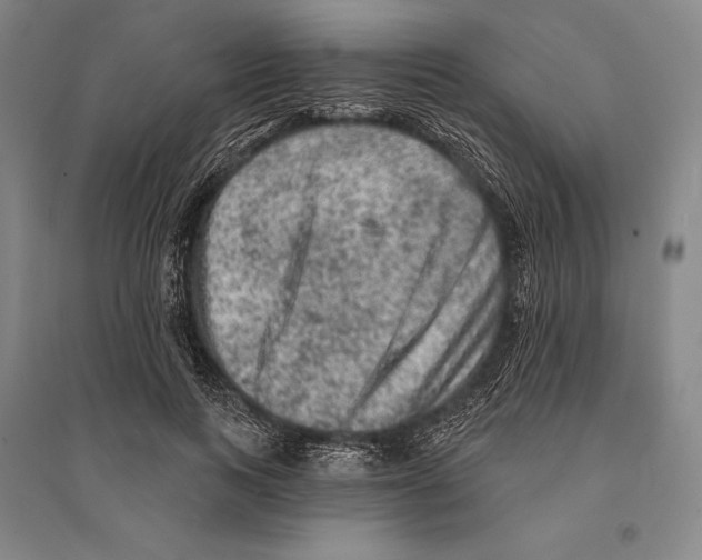 X0000095510743200801111412