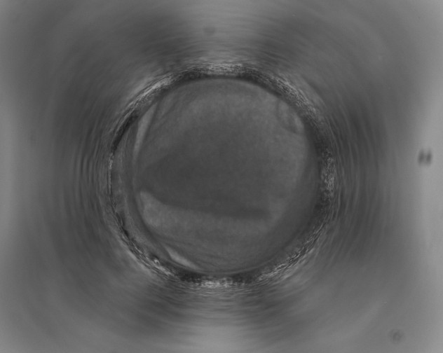 X0000095510744200801111412