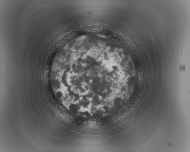 X0000095510745200801111413