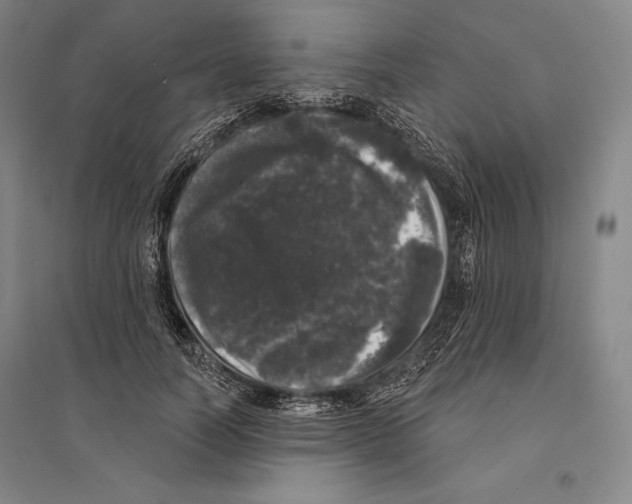 X0000095510746200801111413