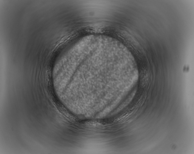 X0000095510747200801111413