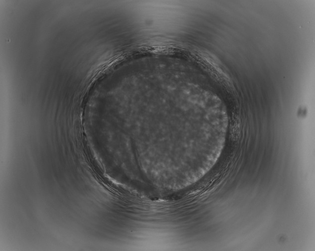 X0000095510748200801111413