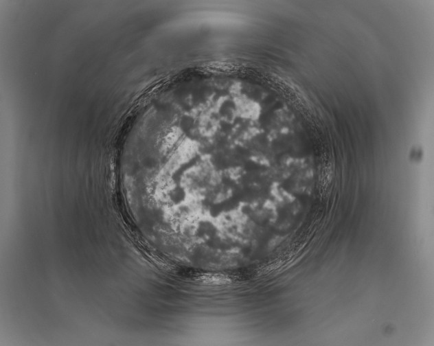 X0000095510749200801111413