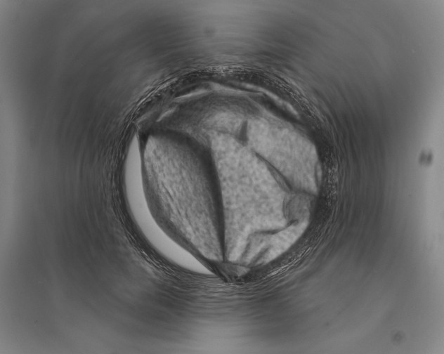 X0000095510750200801111413