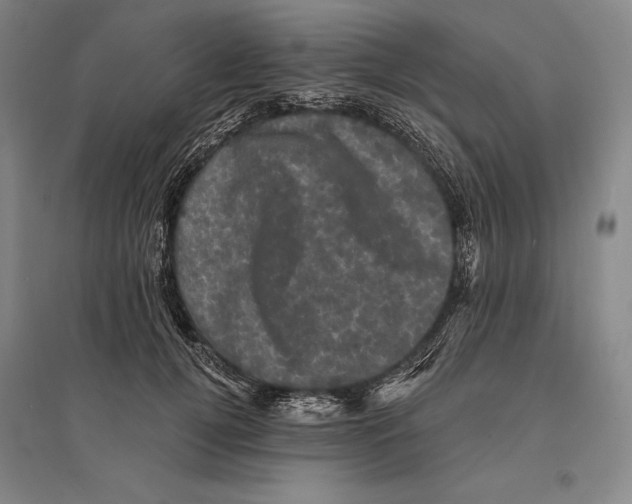 X0000095510752200801111413