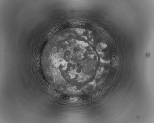 X0000095510753200801111413