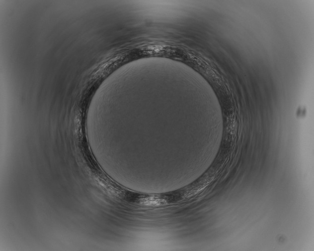 X0000095510754200801111413