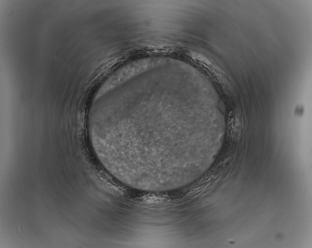 X0000095510756200801111413