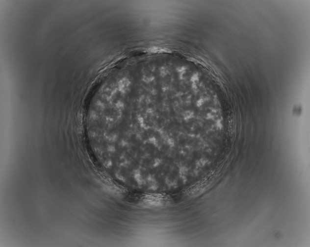X0000095510757200801111413