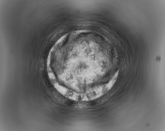 X0000095510758200801111413