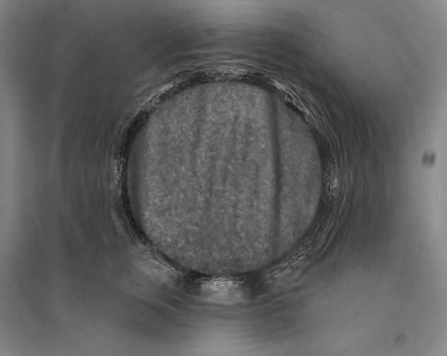 X0000095510759200801111413
