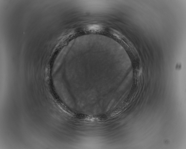 X0000095510760200801111413