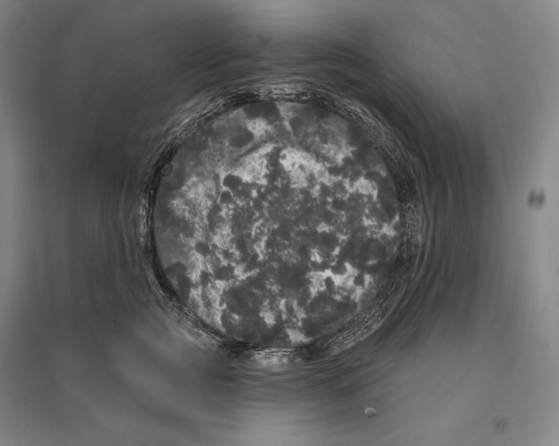 X0000095510761200801111413