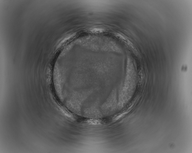 X0000095510762200801111413