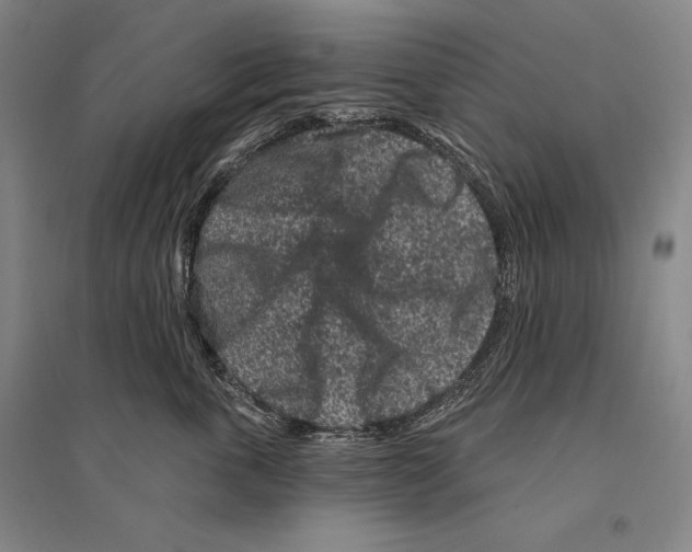 X0000095510763200801111413