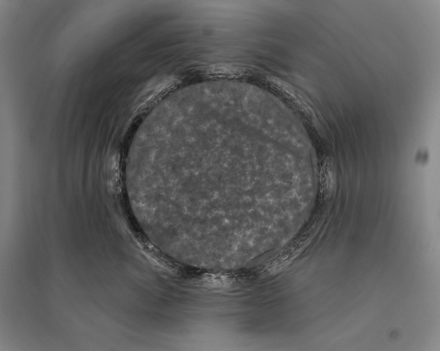 X0000095510764200801111413