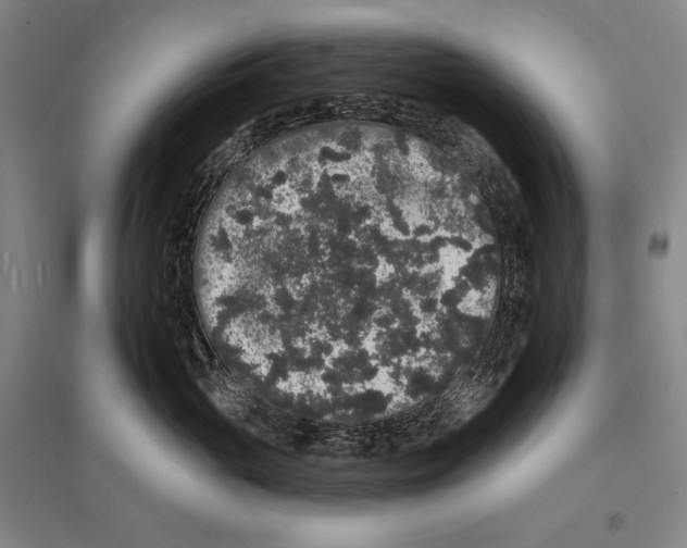 X0000095510765200801111413