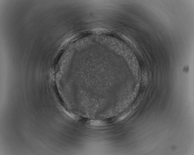 X0000095510766200801111413