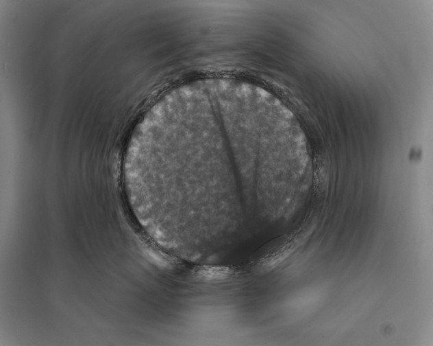 X0000095510767200801111413