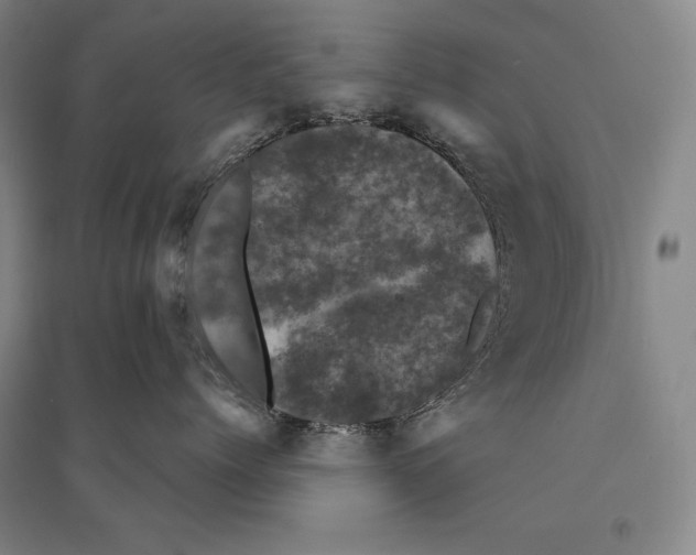 X0000095510768200801111413