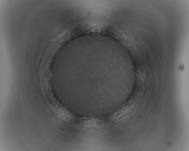 X0000095510769200801111412