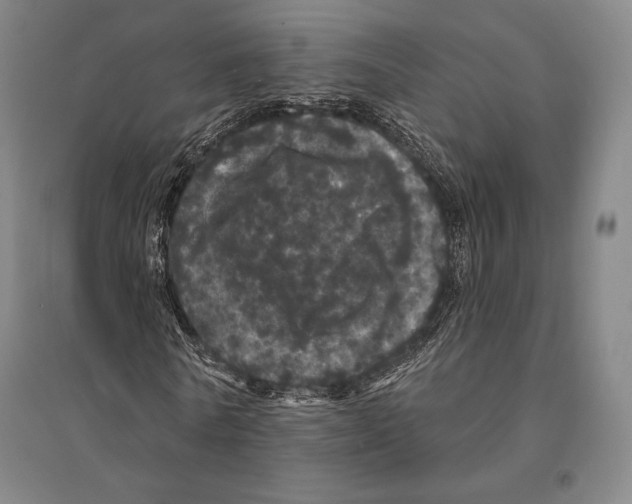 X0000095510770200801111412